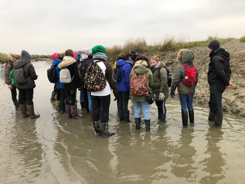 Willekeurige afbeelding uit het fotoalbum