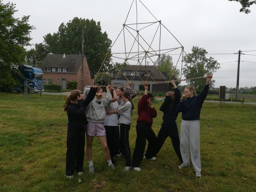Willekeurige afbeelding uit het fotoalbum