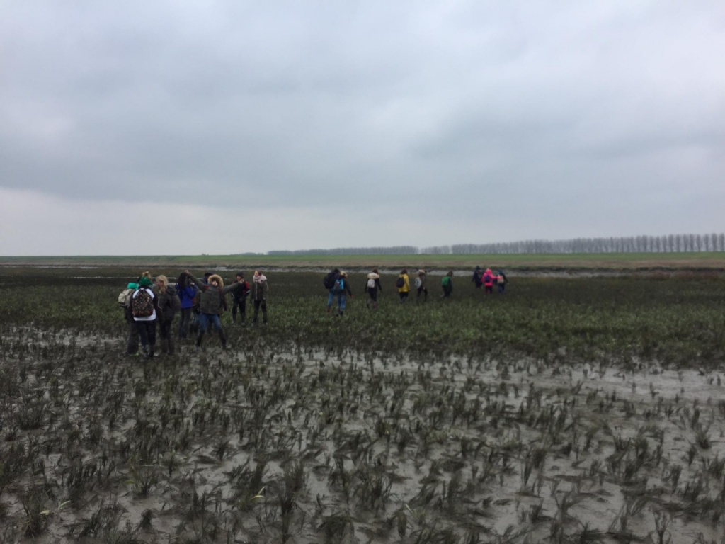 Willekeurige afbeelding uit het fotoalbum