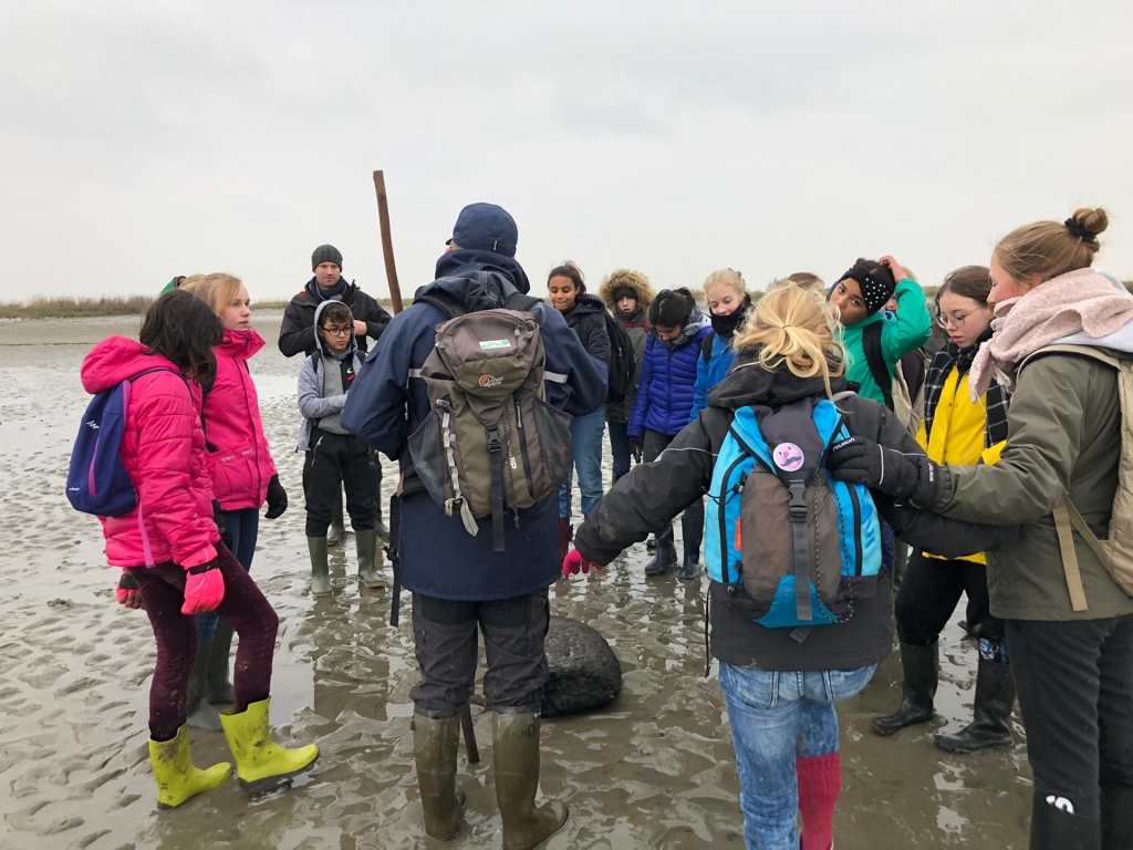 Willekeurige afbeelding uit het fotoalbum