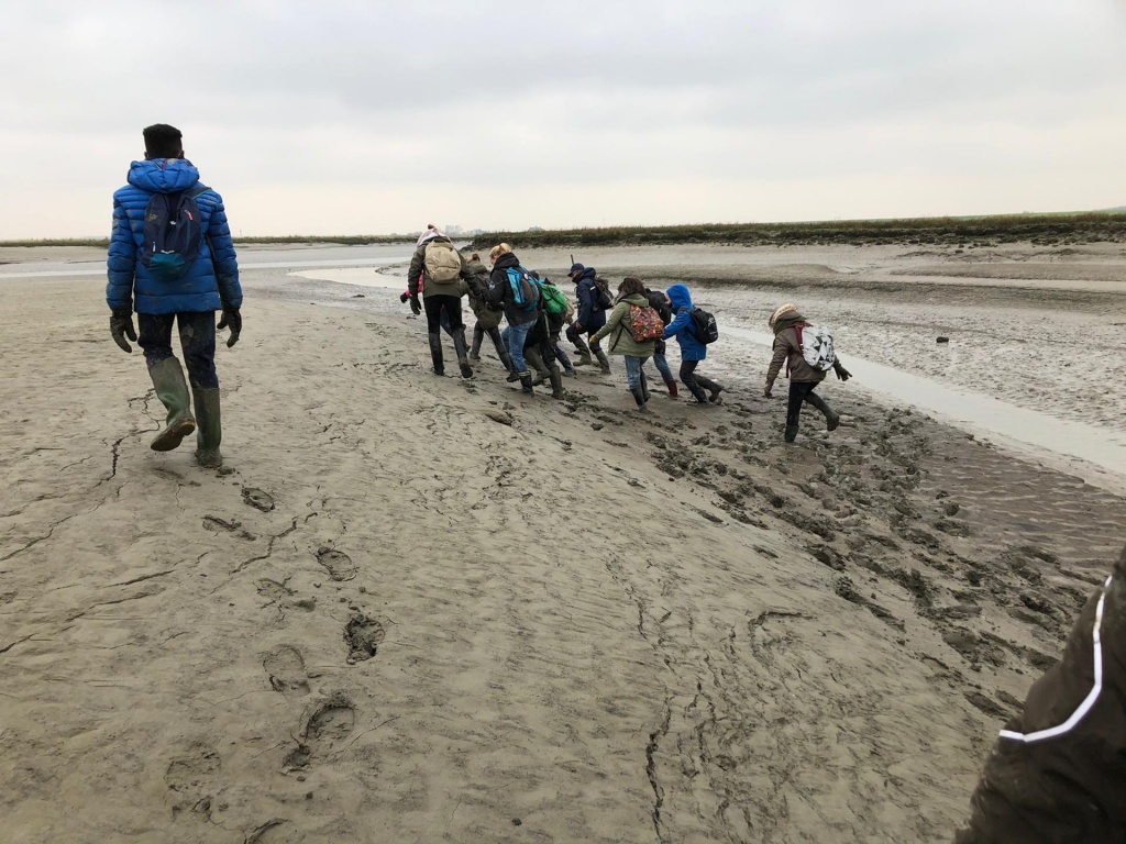 Willekeurige afbeelding uit het fotoalbum
