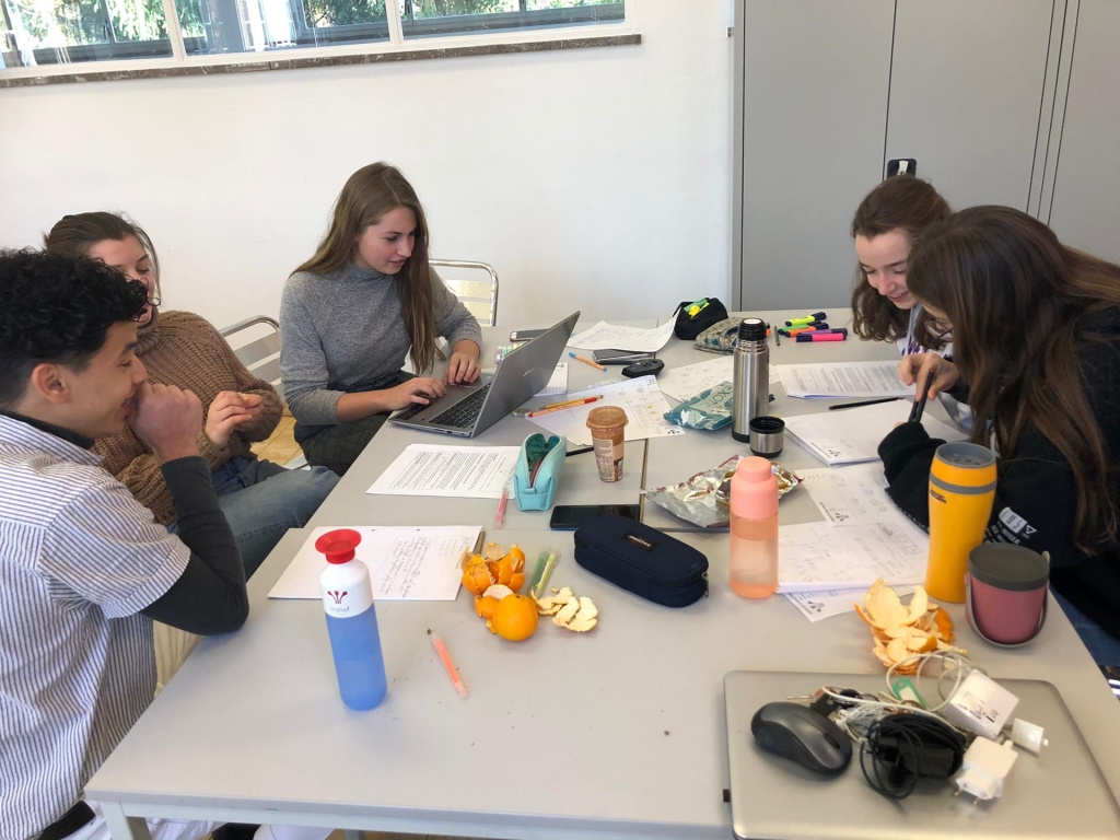 Willekeurige afbeelding uit het fotoalbum