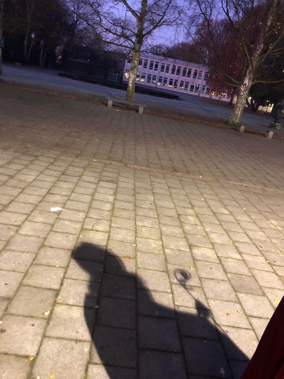 Willekeurige afbeelding uit het fotoalbum