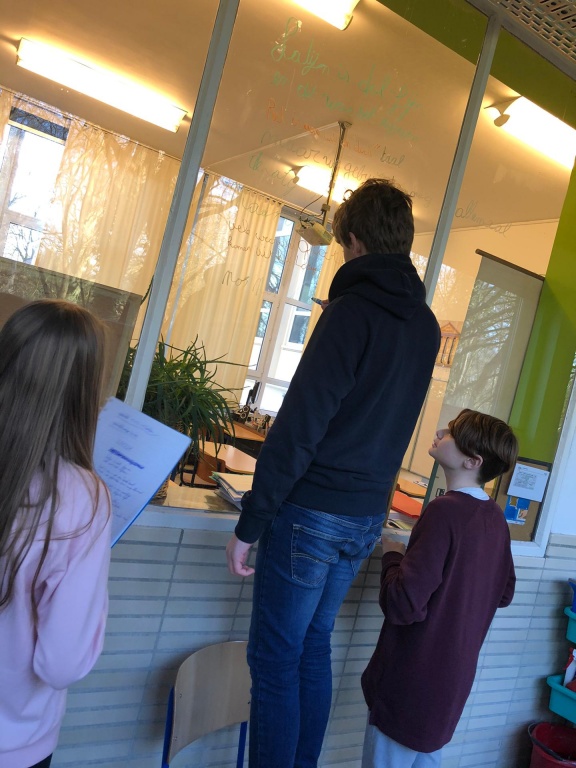 Willekeurige afbeelding uit het fotoalbum