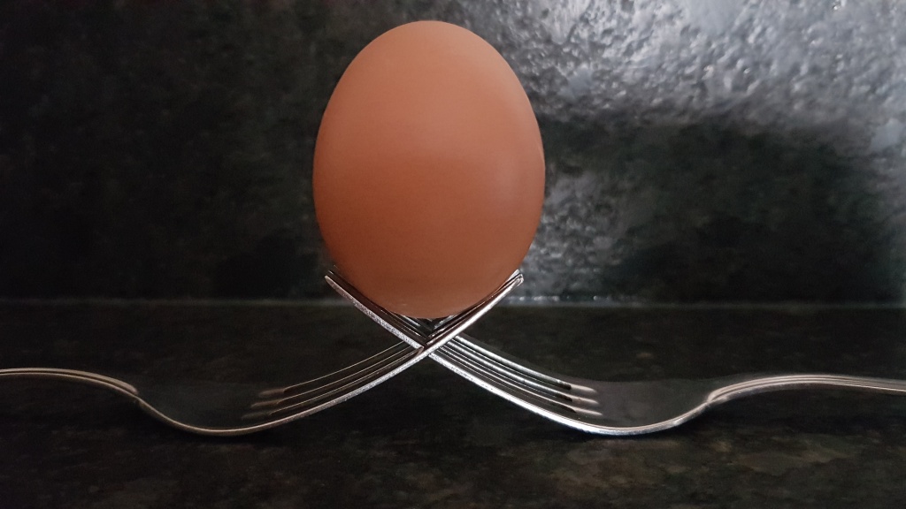 Willekeurige afbeelding uit het fotoalbum
