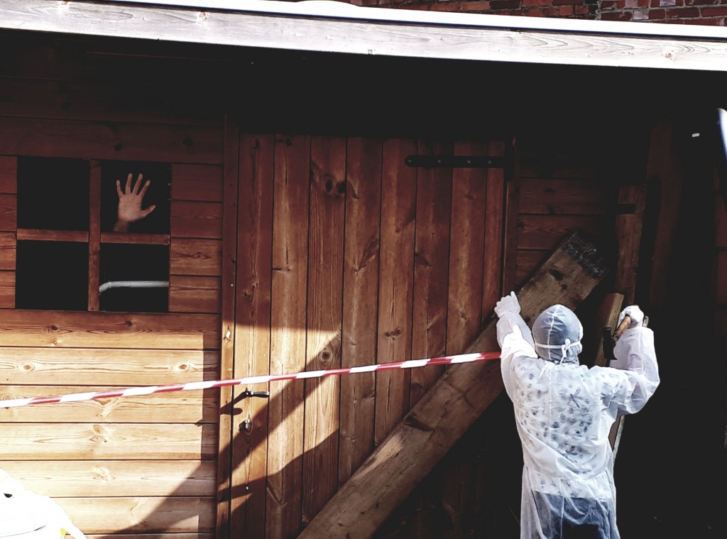 Willekeurige afbeelding uit het fotoalbum