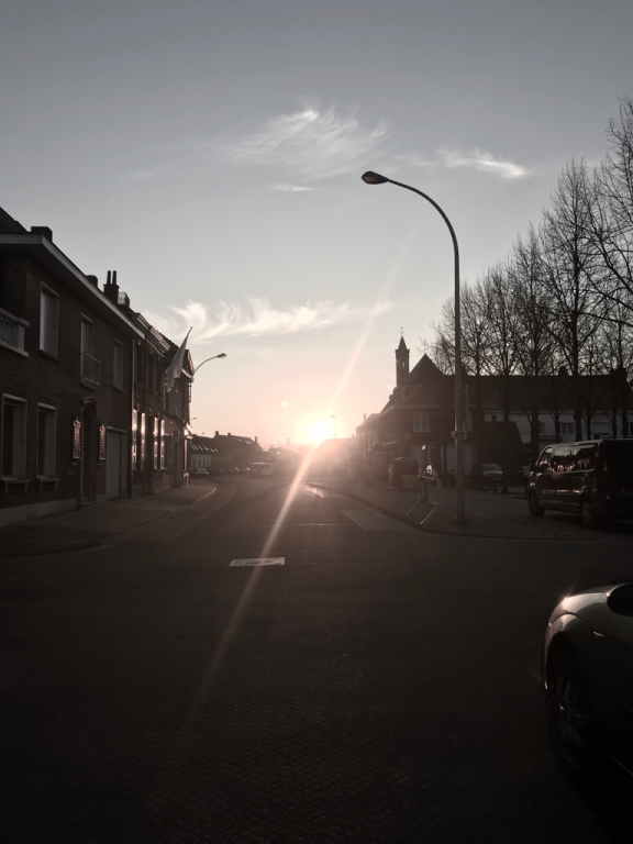 Willekeurige afbeelding uit het fotoalbum