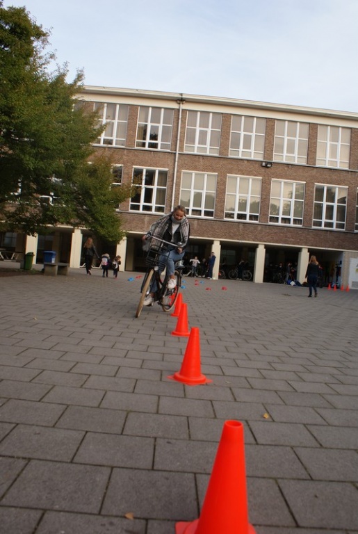 Willekeurige afbeelding uit het fotoalbum