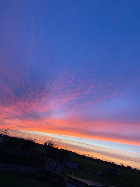 Willekeurige afbeelding uit het fotoalbum