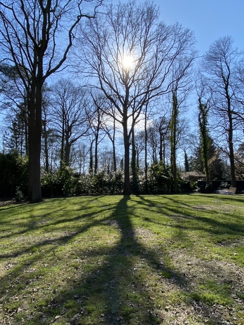 Willekeurige afbeelding uit het fotoalbum