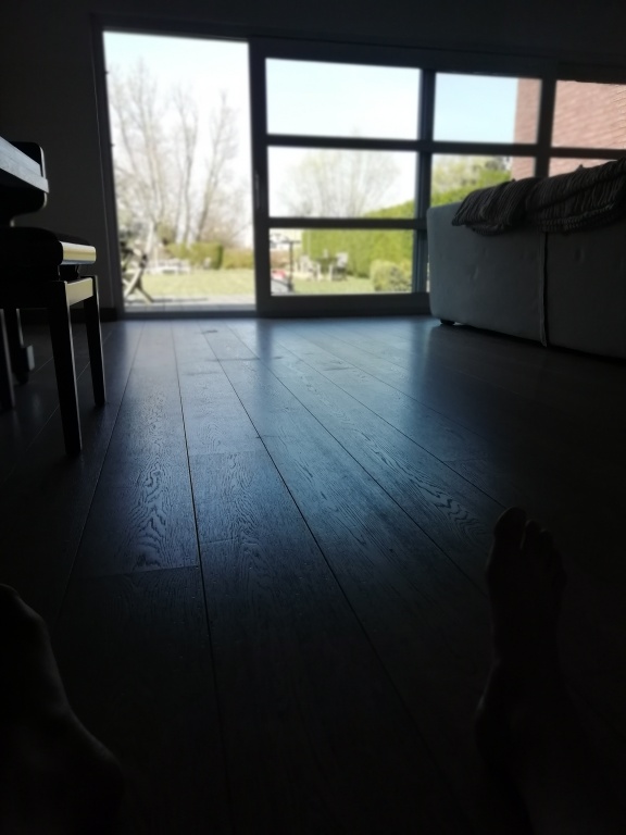 Willekeurige afbeelding uit het fotoalbum