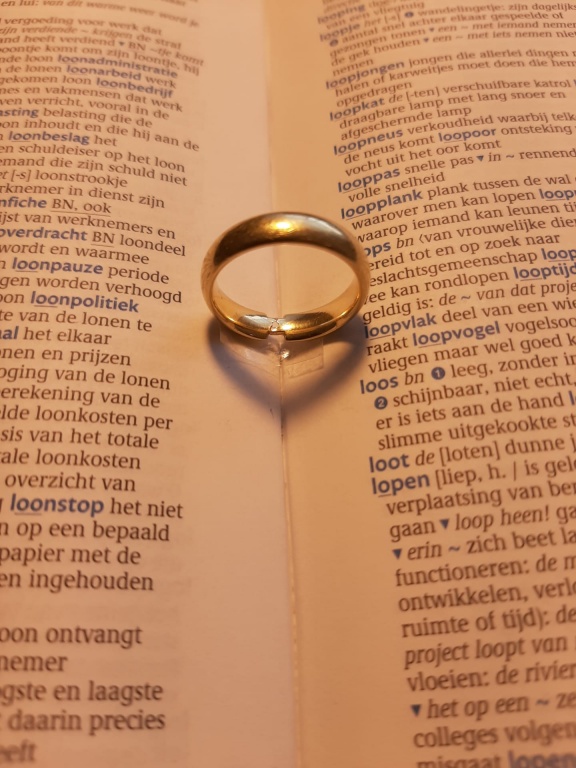 Willekeurige afbeelding uit het fotoalbum