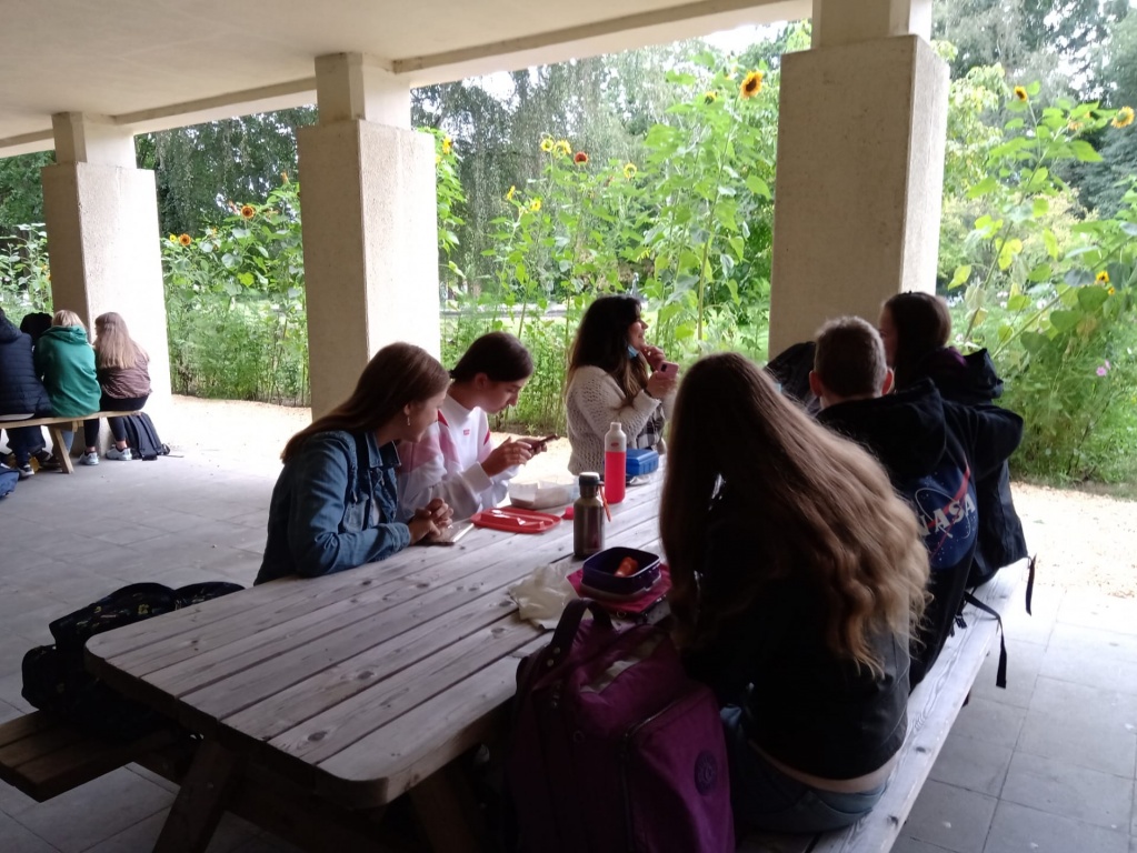 Willekeurige afbeelding uit het fotoalbum