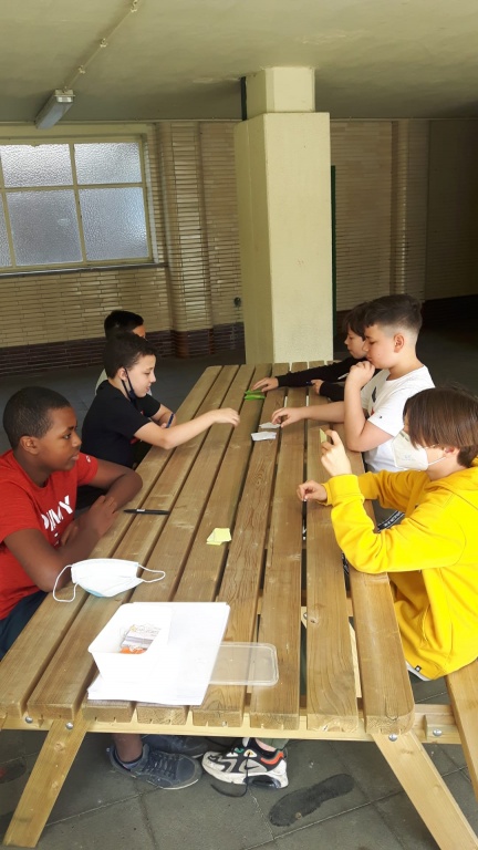 Willekeurige afbeelding uit het fotoalbum