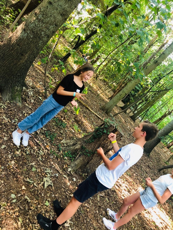 Willekeurige afbeelding uit het fotoalbum