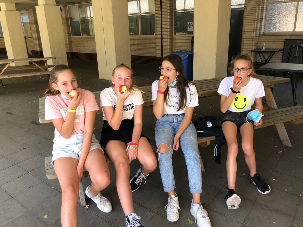 Willekeurige afbeelding uit het fotoalbum