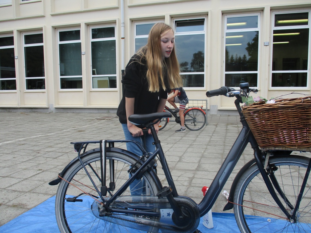 Willekeurige afbeelding uit het fotoalbum