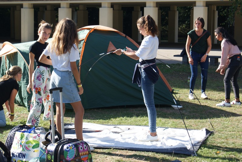 Willekeurige afbeelding uit het fotoalbum