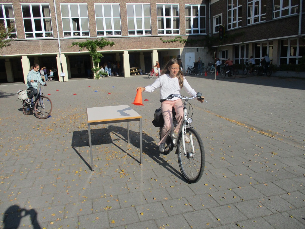 Willekeurige afbeelding uit het fotoalbum