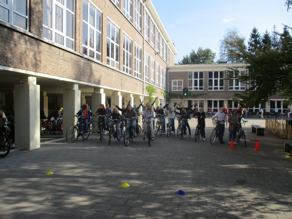 Willekeurige afbeelding uit het fotoalbum