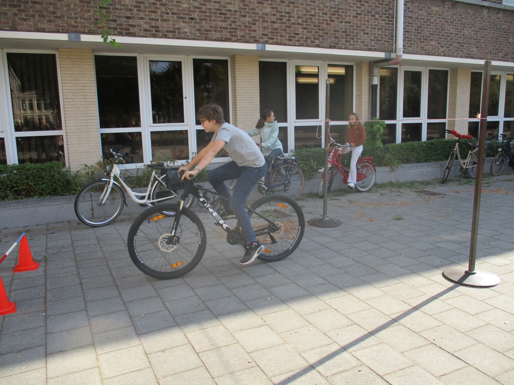 Willekeurige afbeelding uit het fotoalbum