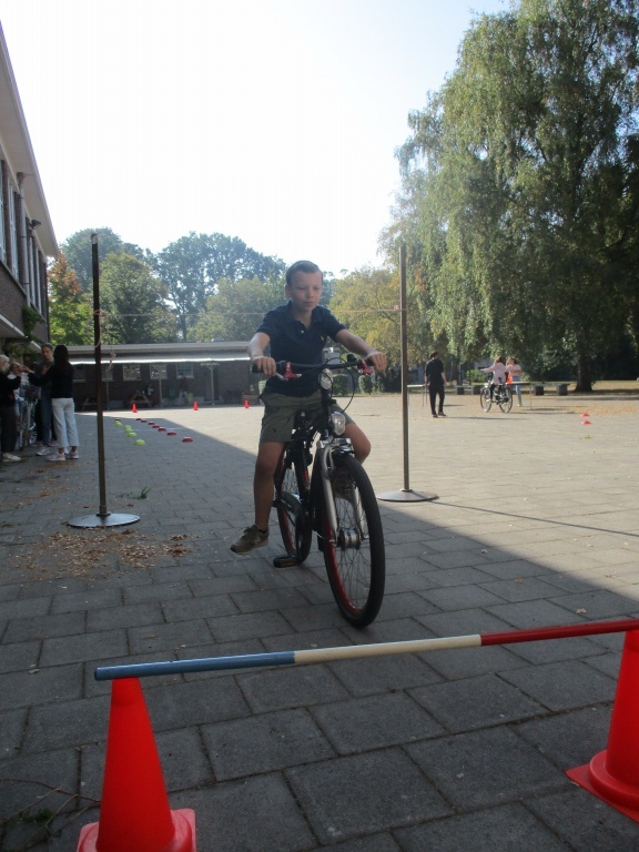 Willekeurige afbeelding uit het fotoalbum