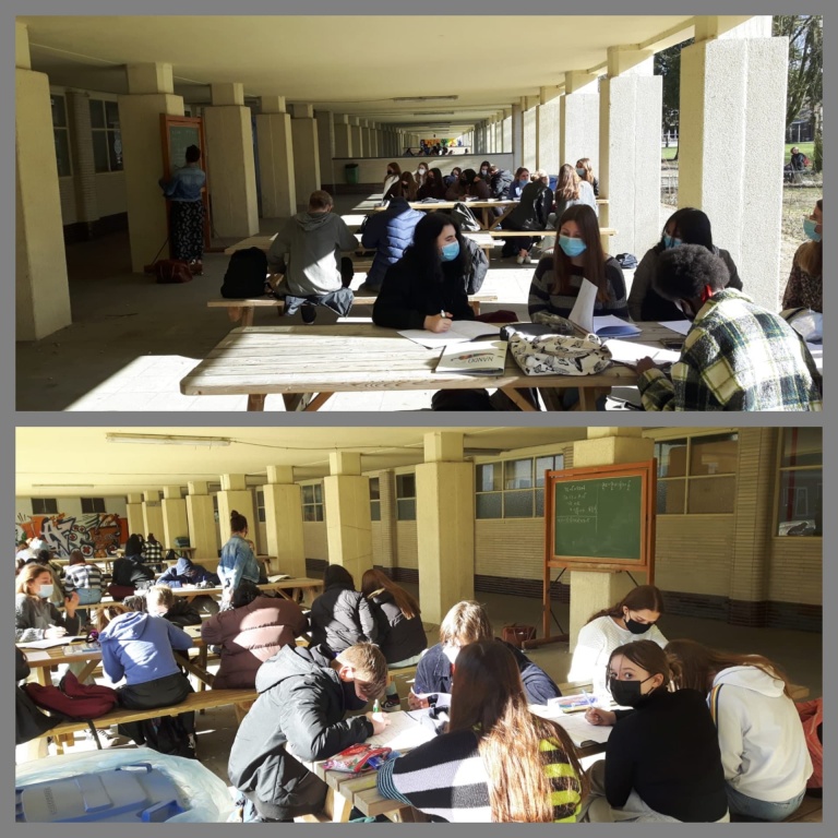 Willekeurige afbeelding uit het fotoalbum