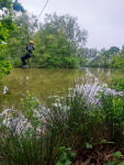 3907